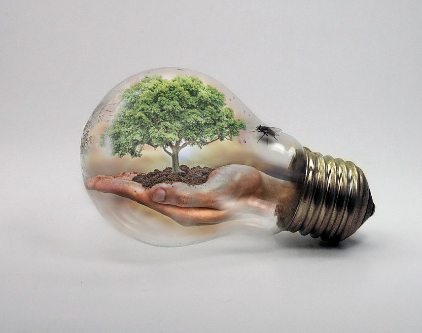 Vortrag – Klimapolitik & Gendergerechtigkeit