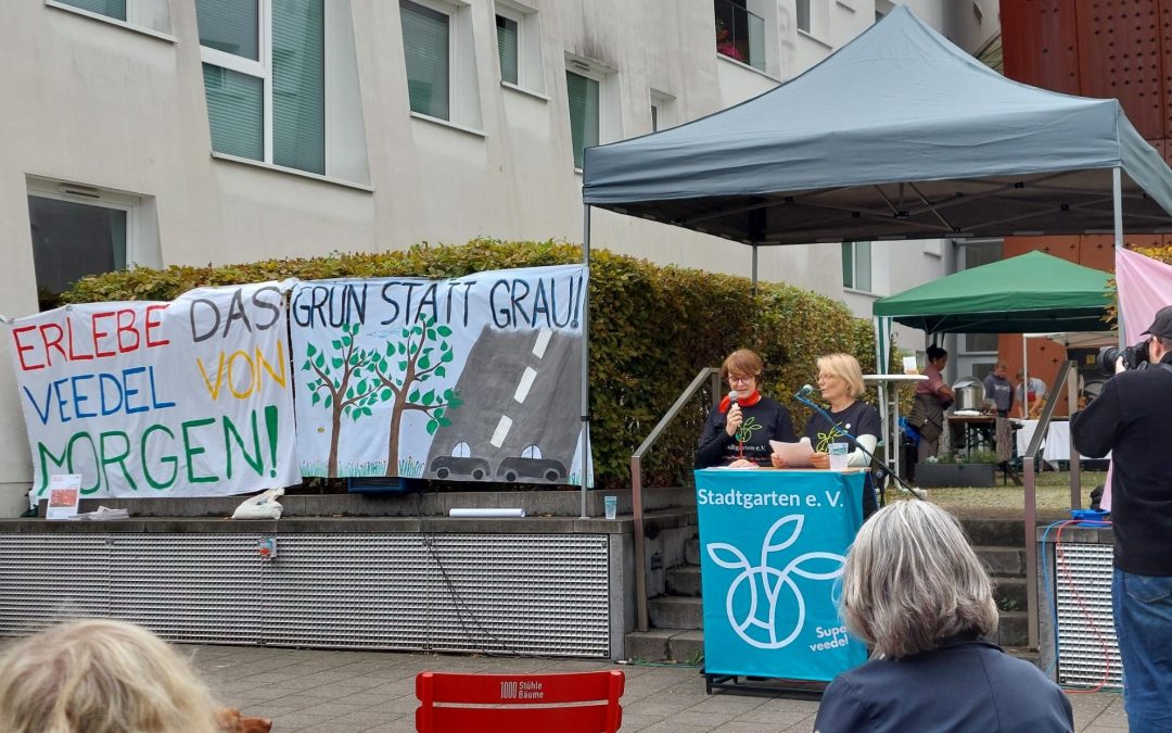 Grüne Stadt am Rhein – vom Parkplatz zur Grünfläche